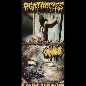 Agathocles / Cannibe - Reduced to an Object / Natural Disasters from Dead Bodies