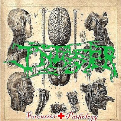 Infester - Forensics and Pathology