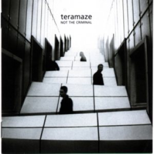 Teramaze - Not the Criminal
