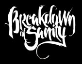 Breakdown of Sanity logo
