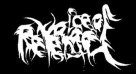 Voice Of Revenge logo