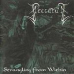 Peccatum - Strangling From Within cover art