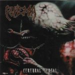 Pyaemia - Cerebral Cereal cover art
