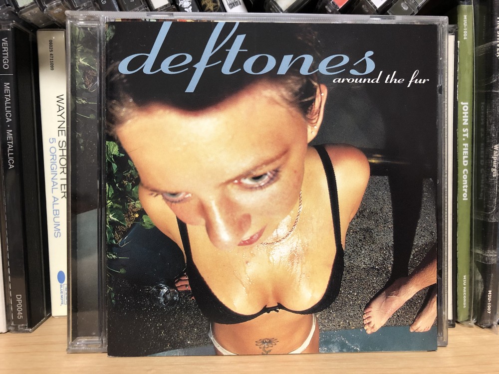 deftones around the fur album cover