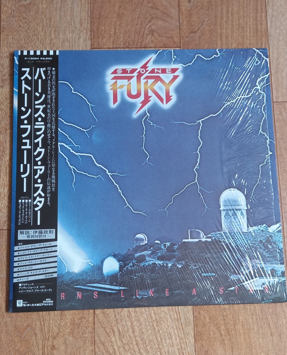Stone Fury - Burns Like a Star Vinyl Photo | Metal Kingdom