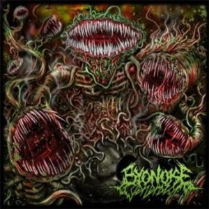 ByoNoiseGenerator - Turbulent Biogenesis