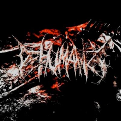 Dehumanize - Discography