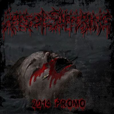 Acts Of Suffering - 2014 Promo