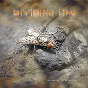 Dividing Line - Fly Away