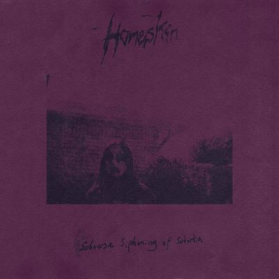 Homeskin - Subverse Siphoning of Suburbia