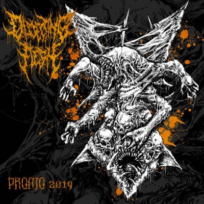 Dissecting Flesh - Promo 2019