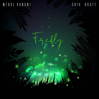 Mehul Kanani - Firefly