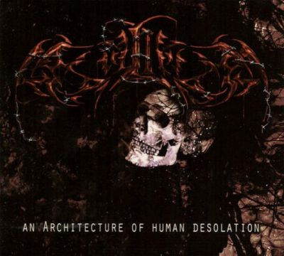 Asylium - An Architecture of Human Desolation