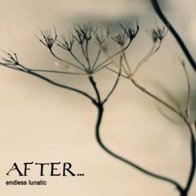 After... - Endless Lunatic