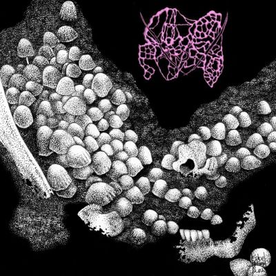 Congealed Putrescence - Dissolved in Hyphae