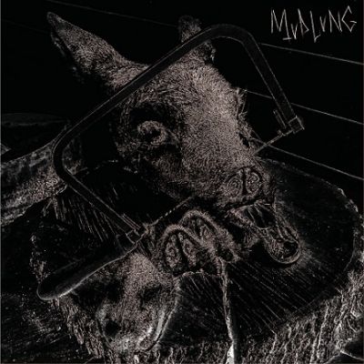 Mudlung - Neurodegenerative Consumption