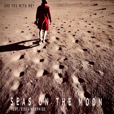 Seas on the Moon - Are You with Me?