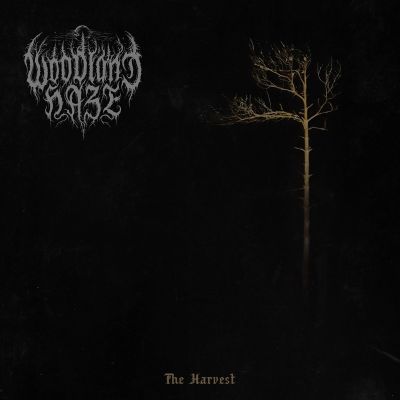 Woodland Haze - The Harvest