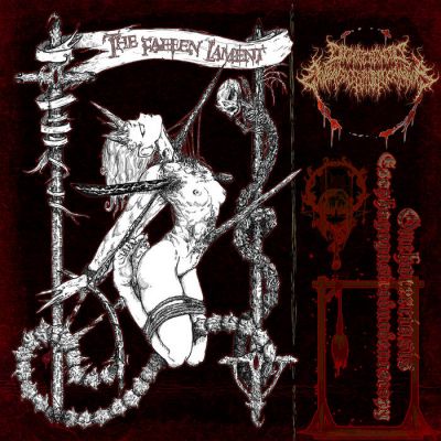 Onchocerciasis Esophagogastroduodenoscopy - The Fallen Lament