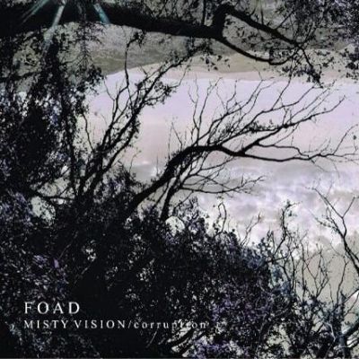 FOAD - Misty Vision / Corruption