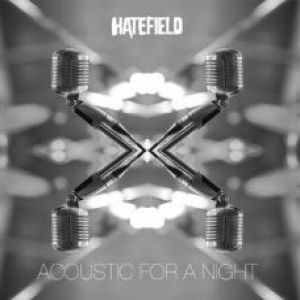 Hate Field - Acoustic for a Night