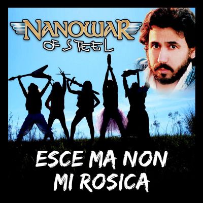 Nanowar of Steel - Esce ma non mi rosica (Shahram Shabpareh cover)