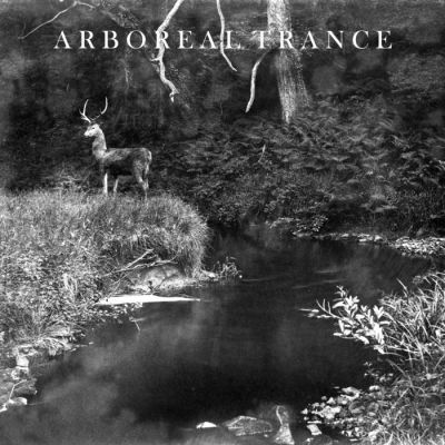 Arboreal Trance - Apparition / The Wolf