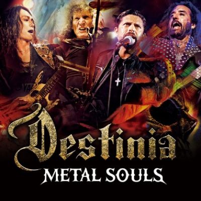 Nozomu Wakai's Destinia - Metal Souls