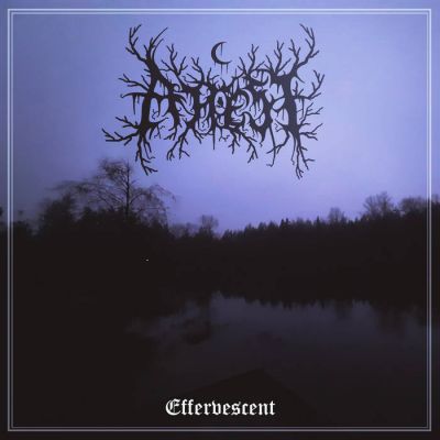 Attest - Effervescent