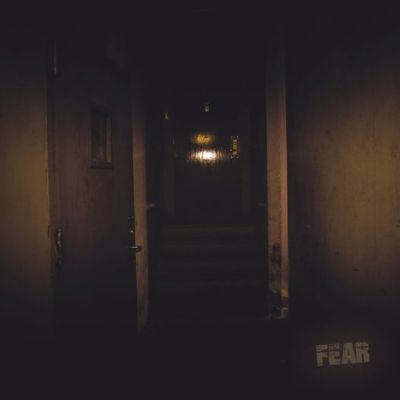 Mirrored in Secrecy - Fear