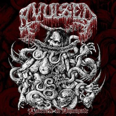 Avulsed - Lacerate to Dominate