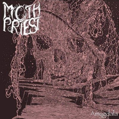 Moth Priest - Amygdala