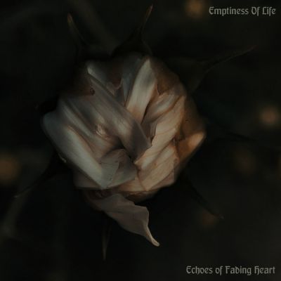 Emptiness of Life - Echoes of Fading Heart