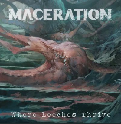 Maceration - Where Leeches Thrive