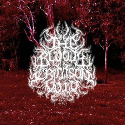 The Bloody Crimson Void - A Quest unto the Crimson Planet