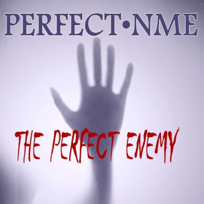 Perfect Nme - The Perfect Enemy