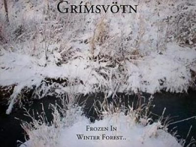 Grímsvötn - Frozen in Winter Forest..