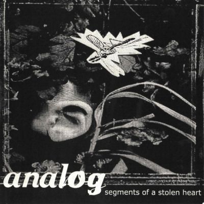 Analog - Segments of a Stolen Heart