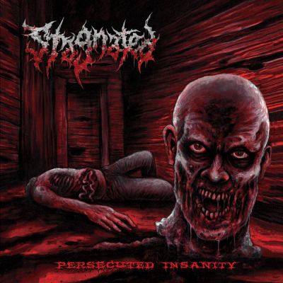 Stagnated - Persecuted Insanity