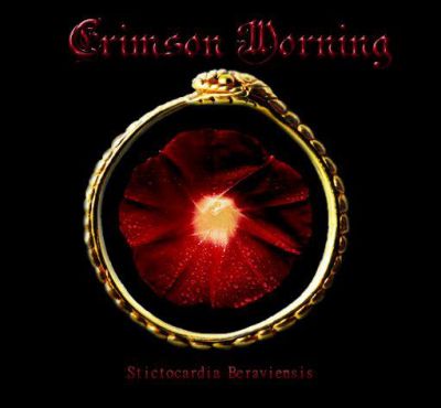 Crimson Morning - Stictocardia Beraviensis