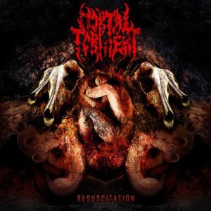 Mortal Torment - Resuscitation