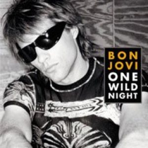 Bon Jovi - One Wild Night