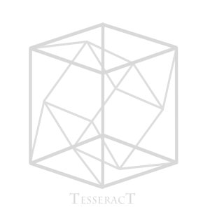 Tesseract - Concealing Fate