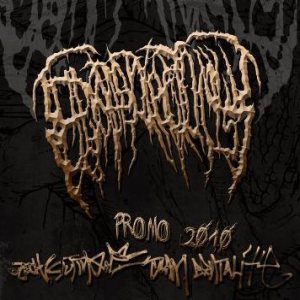 Epicardiectomy - Promo 2010