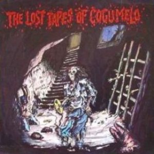 Various Artists - The Lost Tapes of Cogumelo