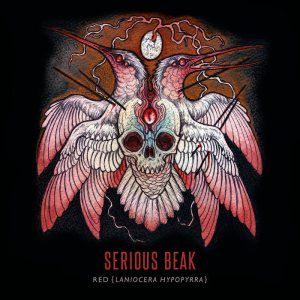 Serious Beak - Ankaa