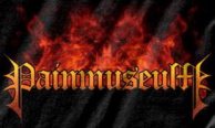 Painmuseum logo
