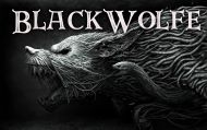 BlackWolfe logo