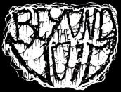 Beyond the Void logo