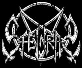 Steinras logo